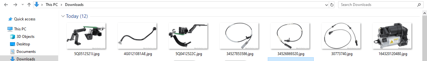 Downloaded images in folder